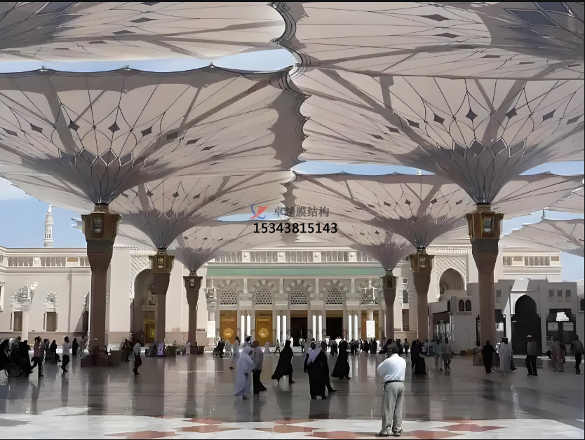 PTFE網(wǎng)格膜，有哪些類別呢？